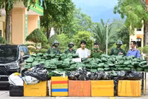 Bắt giữ đường dây mua bán 240 kg cần sa khô ở Hà Tĩnh 