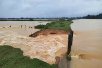 Hà Tĩnh: Mưa lớn kéo dài, đê đập Hà bị vỡ