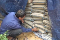 Tạm đình chỉ công tác chủ tịch xã ở Hà Tĩnh 