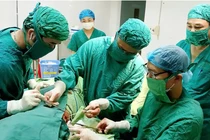 Mổ lấy cành cây dài 20cm đâm thấu phổi cụ bà ở Hà Tĩnh