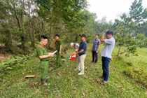 Xả nước thải vượt quy chuẩn, 3 đơn vị ở Hà Tĩnh bị xử phạt gần 150 triệu đồng