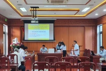 Mỏ cát ở Quảng Nam được đấu giá 138 tỷ đồng, gấp 77 lần mức khởi điểm