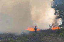 Gần 400 người tham gia chữa cháy rừng ở Huế