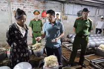 Phát hiện cơ sở dùng chất cấm sản xuất giá đỗ ở Hà Tĩnh