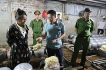 Phát hiện cơ sở dùng chất cấm sản xuất giá đỗ ở Hà Tĩnh