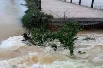 Lực lượng chức năng di dời người dân đến nơi an toàn.