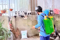 Xuất hiện ổ dịch sốt xuất huyết ở Hà Tĩnh