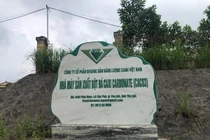 Một công ty bị xử phạt 320 triệu đồng do vi phạm môi trường