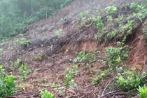 Phòng bão số 12, hàng nghìn học sinh ở TP Huế nghỉ học