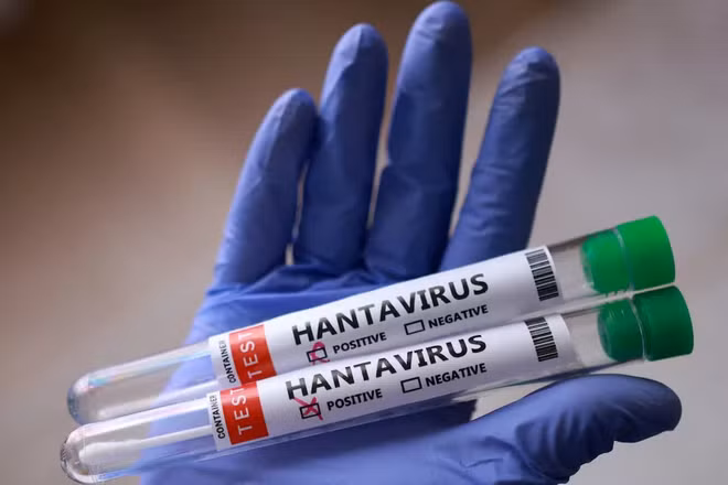 WHO cảnh báo về nguy cơ lây nhiễm Hantavirus trên tàu du lịch