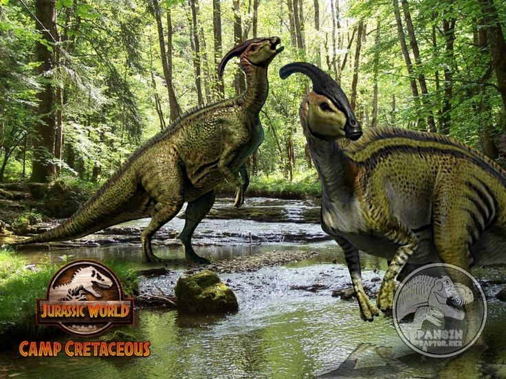 Có thể sống theo bầy đàn. Các hóa thạch cho thấy Parasaurolophus nhiều khả năng sống theo nhóm lớn, điều này giúp chúng bảo vệ con non và tăng khả năng phát hiện kẻ săn mồi. Ảnh: Pinterest.