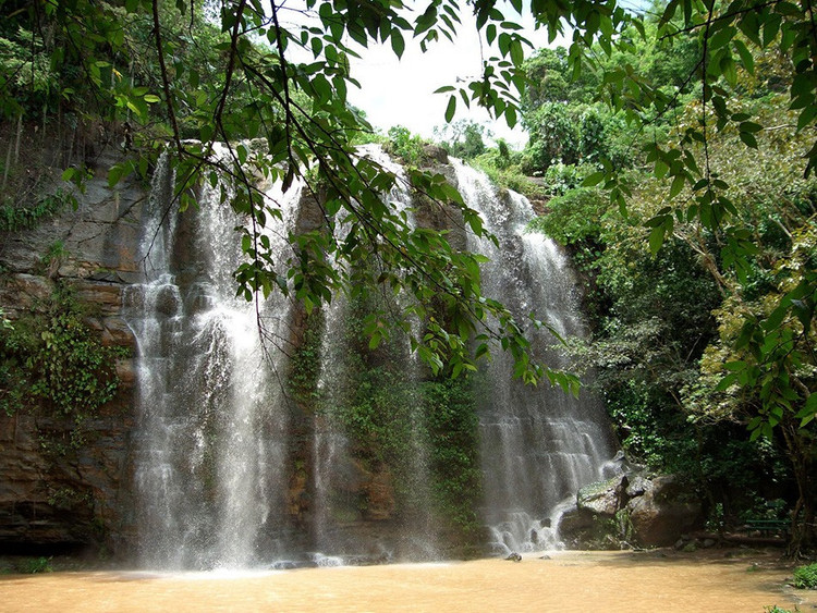 Được UNESCO công nhận là Di sản Thế giới năm 1999.Giá trị di sản nổi bật của Vườn quốc gia Desembarco del Granma là hệ thống vách đá vôi ven biển ngoạn mục. Ảnh: viajescuba.org.