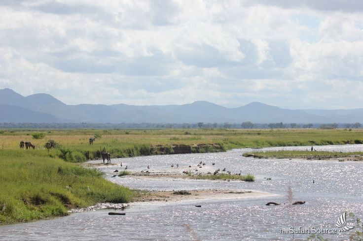 Hệ sinh thái ngập lũ theo mùa độc đáo. Mỗi năm, khi nước sông Zambezi dâng cao, vùng đồng bằng biến thành biển nước mênh mông, tạo điều kiện cho cá, chim và thú lớn sinh sôi mạnh mẽ. Ảnh: Pinterest.
