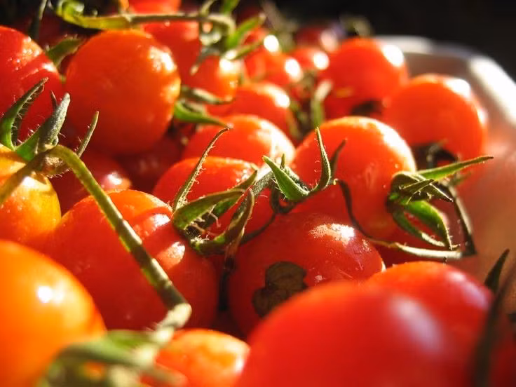 Giàu lycopene chống oxy hóa. Cà chua chứa hàm lượng cao lycopene – một chất chống oxy hóa mạnh tạo nên màu đỏ đặc trưng. Lycopene được nghiên cứu vì có khả năng hỗ trợ sức khỏe tim mạch và bảo vệ tế bào khỏi tổn thương do gốc tự do. Ảnh: Pinterest.