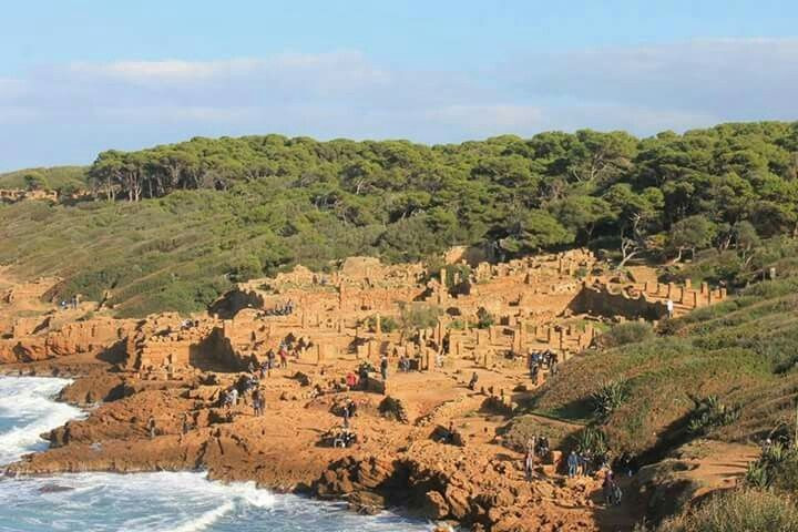 Tipasa là một trong những di tích La Mã quan trọng nhất Bắc Phi. Nhờ sự kết hợp giữa kiến trúc cổ, di tích tôn giáo và vị trí ven biển đặc biệt, Tipasa được xem là một trong những địa điểm khảo cổ La Mã nổi bật nhất ở Algeria và toàn khu vực Bắc Phi. Nơi đây giúp các nhà nghiên cứu hiểu rõ hơn về lịch sử đô thị cổ ở Địa Trung Hải. Ảnh: Pinterest.