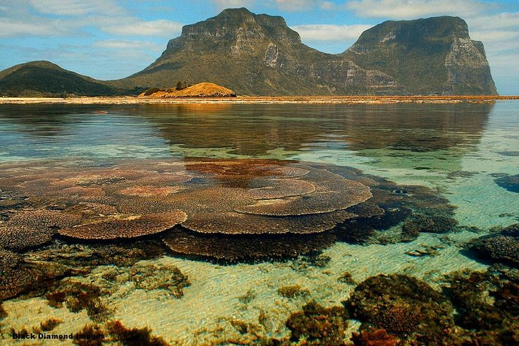 Được UNESCO công nhận di sản thế giới. Quần đảo Lord Howe được vinh danh năm 1982 vì hệ sinh thái biển và rừng độc đáo. Ảnh: Pinterest.