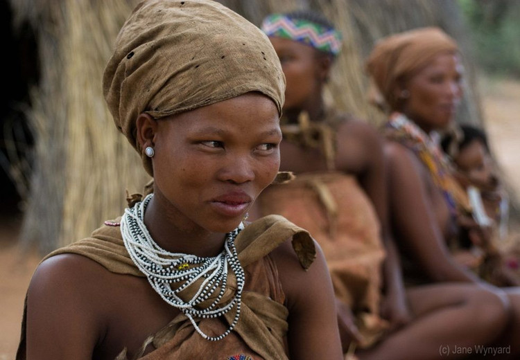 Xã hội người San đề cao sự bình đẳng. Không có giai cấp hay thủ lĩnh cố định, mọi quyết định của cộng đồng đều được bàn bạc chung. Ảnh: janewynyard.com.