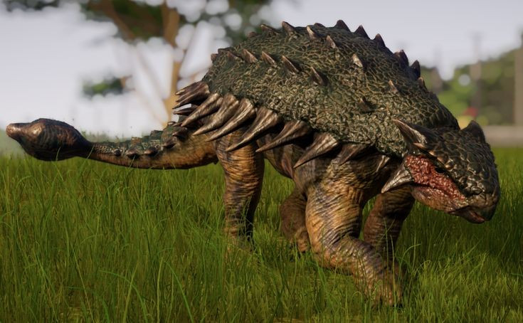 1. Ankylosaurus có lớp giáp cơ thể cực kỳ chắc chắn. Lớp da của nó được bao phủ bởi các tấm xương lớn gọi là osteoderm, giúp bảo vệ khỏi các loài ăn thịt như Tyrannosaurus rex. Ảnh: Pinterest.