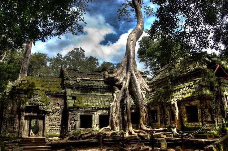 Đền Ta Prohm từng lưu giữ nhiều bảo vật. Ghi chép cổ cho thấy nơi đây từng có vô số châu báu, tượng vàng, đồ quý hiến dâng cho các vị thần. Ảnh: Pinterest.