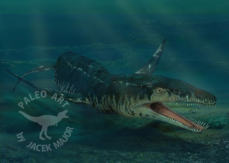 Xuất hiện nhiều trong các phim tài liệu cổ sinh. Liopleurodon xuất hiện nổi bật trong nhiều phim khoa học, khiến nó trở thành biểu tượng sinh vật biển thời tiền sử. Ảnh: Pinterest.