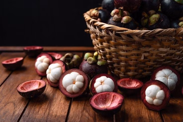 Cây măng cụt có thể sống và cho trái rất lâu. Một cây măng cụt trưởng thành có thể sống hàng chục năm và tiếp tục cho trái trong thời gian dài nếu được chăm sóc tốt. Trong các vườn cây lâu năm ở Đông Nam Á, có những cây măng cụt được ghi nhận vẫn ra quả sau nhiều thập kỷ. Ảnh: Pinterest.