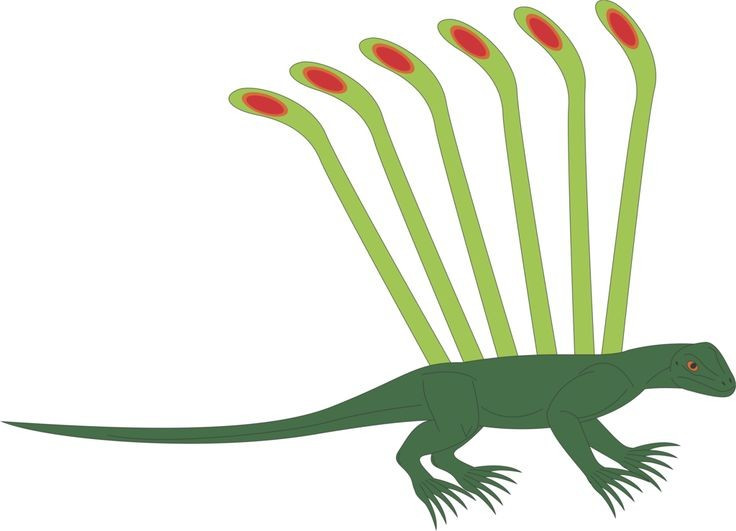 Có thể sống trên cây. Dựa vào hình thái cơ thể nhỏ gọn và móng vuốt cong, Longisquama được cho là loài sống trên cây, di chuyển linh hoạt giữa các cành trong rừng cổ đại. Ảnh: Pinterest.