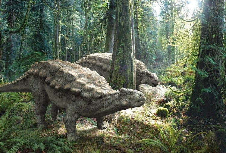 7. Ankylosaurus sống vào cuối Kỷ Phấn trắng. Loài này xuất hiện khoảng 66 triệu năm trước, cùng thời với những khủng long nổi tiếng khác như Triceratops và Tyrannosaurus. Ảnh: Pinterest.