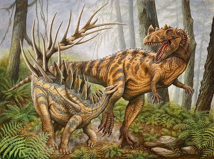 Hệ thống gai phòng thủ cực kỳ hiệu quả. Không giống Stegosaurus với các tấm xương lớn, Kentrosaurus sở hữu nhiều gai nhọn sắc, đặc biệt ở vai và đuôi, có thể gây thương tích nghiêm trọng cho kẻ săn mồi. Ảnh: Pinterest.