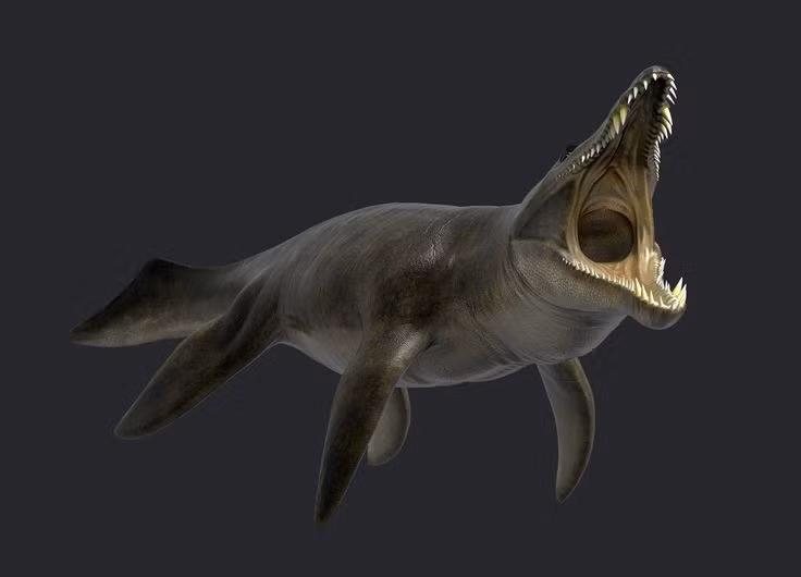 Tuyệt chủng cùng nhiều loài khác. Kronosaurus biến mất vào cuối kỷ Phấn Trắng, trong sự kiện tuyệt chủng hàng loạt đã quét sạch nhiều sinh vật biển khổng lồ. Ảnh: Pinterest.