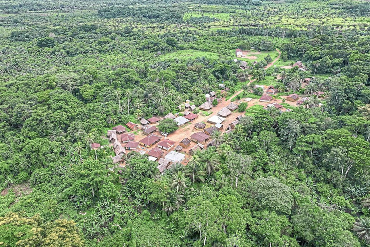 Đối mặt với áp lực từ con người. Nạn phá rừng, săn bắt và khai thác tài nguyên vẫn là những thách thức lớn đối với việc bảo tồn khu vực. Ảnh: thestar.com.my.