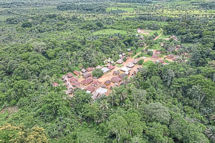 Đối mặt với áp lực từ con người. Nạn phá rừng, săn bắt và khai thác tài nguyên vẫn là những thách thức lớn đối với việc bảo tồn khu vực. Ảnh: thestar.com.my.