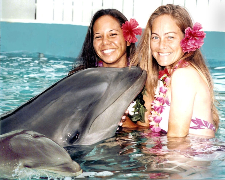 Cá thể nổi tiếng nhất tên Kekaimalu. Wholphin Kekaimalu được sinh tại công viên Sea Life Park ở Hawaii và đã sinh con thành công. Ảnh: nbcnews.