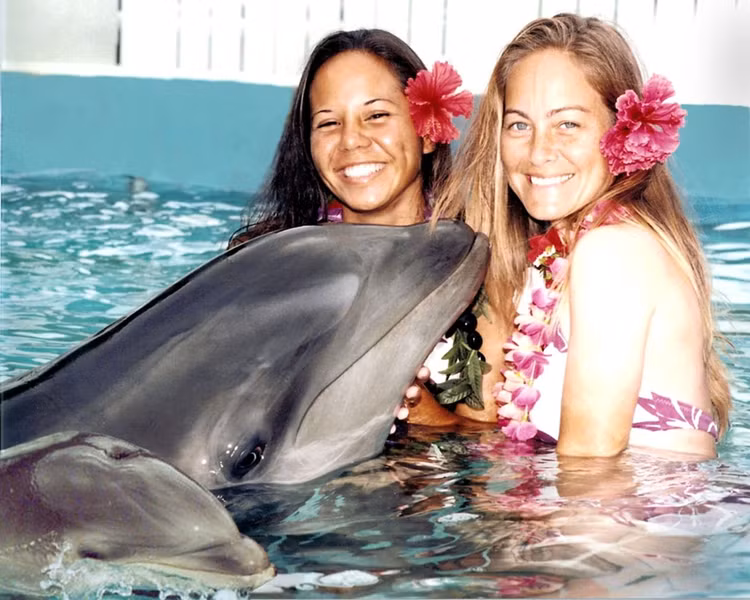 Cá thể nổi tiếng nhất tên Kekaimalu. Wholphin Kekaimalu được sinh tại công viên Sea Life Park ở Hawaii và đã sinh con thành công. Ảnh: nbcnews.