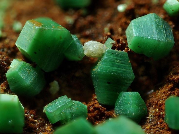 Hình thành trong mạch quặng oxy hóa. Khoáng vật này thường xuất hiện ở vùng oxy hóa của các mỏ uranium. Ảnh: Pinterest.