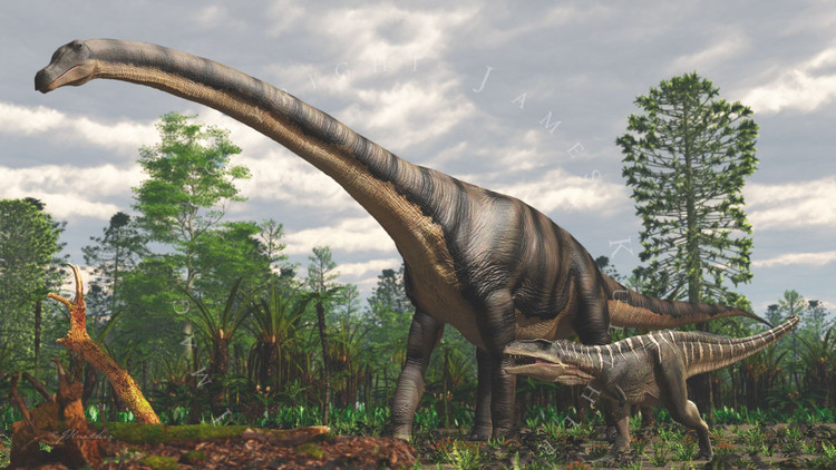 Chúng có thể cần đến tim khổng lồ để bơm máu. Ước tính trái tim của Patagotitan có thể nặng hơn 200 kg. Ảnh: Pinterest.