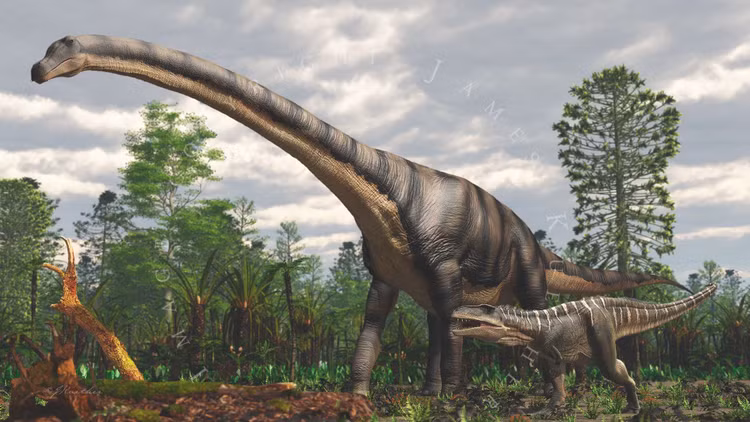 Chúng có thể cần đến tim khổng lồ để bơm máu. Ước tính trái tim của Patagotitan có thể nặng hơn 200 kg. Ảnh: Pinterest.