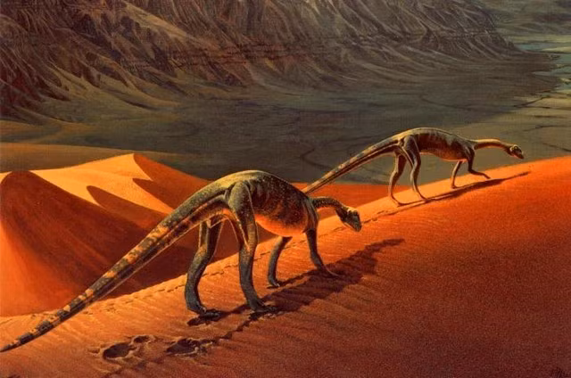 Sống vào kỷ Jura sớm, cách đây khoảng 190 triệu năm. Loài khủng long này tồn tại vào đầu kỷ Jura, giai đoạn các hệ sinh thái trên cạn đang phục hồi và đa dạng hóa mạnh mẽ sau sự kiện tuyệt chủng cuối kỷ Tam Điệp. Ảnh: ksl.com.