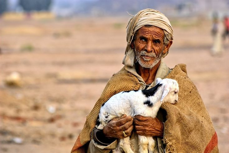 Đang trải qua nhiều biến đổi hiện đại. Nhiều cộng đồng Bedouin dần định cư và hòa nhập xã hội hiện đại, khiến bản sắc truyền thống dần mai một. Ảnh: Pinterest.