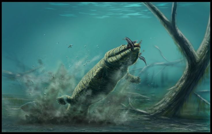 7. Ý nghĩa trong nghiên cứu tiến hóa. Ichthyostega là bằng chứng sống động cho giai đoạn chuyển đổi từ đời sống dưới nước sang cạn, mở đường cho sự xuất hiện của động vật lưỡng cư, bò sát và động vật có vú sau này. Ảnh: Pinterest.