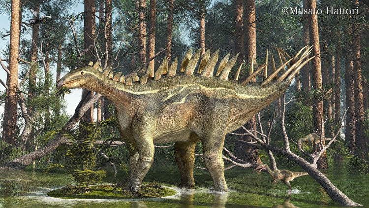 Thức ăn chủ yếu là thực vật thân thấp. Hàm răng nhỏ và cấu trúc miệng của Dacentrurus phù hợp với việc gặm cây bụi và dương xỉ. Ảnh: Pinterest.