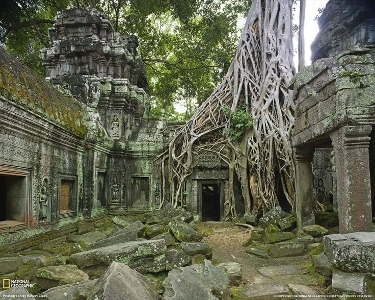 Ta Prohm được giữ nguyên trạng khi phục dựng. Khác với nhiều ngôi đền Angkor khác, Ta Prohm hầu như được để nguyên tình trạng với cây cối bao phủ để giữ nét đặc trưng hoang sơ. Ảnh: Pinterest.