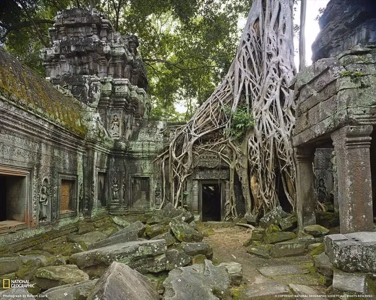 Ta Prohm được giữ nguyên trạng khi phục dựng. Khác với nhiều ngôi đền Angkor khác, Ta Prohm hầu như được để nguyên tình trạng với cây cối bao phủ để giữ nét đặc trưng hoang sơ. Ảnh: Pinterest.