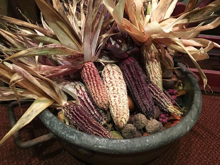 Biểu tượng văn hóa và tín ngưỡng. Trong nhiều nền văn minh cổ như Maya và Aztec, ngô được xem là cây thiêng gắn với sự sống và thần linh. Hình ảnh ngô xuất hiện trong nghi lễ, thần thoại và nghệ thuật, cho thấy vai trò sâu sắc của loài cây này trong đời sống tinh thần con người. Ảnh: Pinterest.