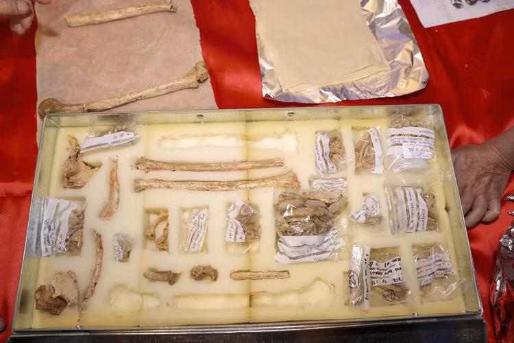 Việc phát hiện bộ xương có niên đại khoảng 12.500 – 12.000 năm tuổi “Chiến binh Tràng An” mang lại những giá trị khoa học nổi bật về bằng chứng hiếm về sự xung đột, bạo lực trong săn bắt, hái lượm của người tiền sử. Ngoài ra, mẫu DNA ty thể giúp các nhà khoa học có cái nhìn trực quan hơn, phân tích rõ hơn về di truyền học cổ đại. Ảnh: Báo Tiền Phong.