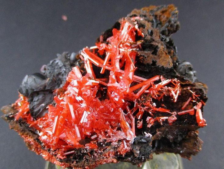 Được giới sưu tầm khoáng vật đánh giá rất cao. Những mẫu tinh thể crocoite lớn, sắc màu rực thường có giá sưu tầm rất cao. Ảnh: Pinterest.