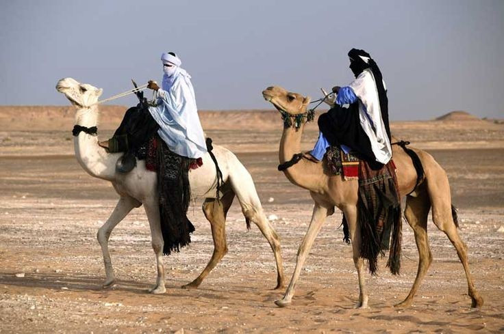 Kỵ sĩ lạc đà điêu luyện. Họ nổi tiếng với khả năng điều khiển lạc đà trong những chuyến di chuyển xuyên sa mạc dài ngày. Ảnh: Pinterest.