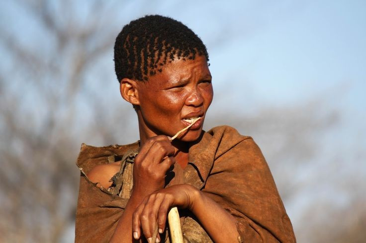 Đang đối mặt với nhiều thách thức hiện đại. Ngày nay, Người San phải đối mặt với mất đất, thay đổi môi trường và áp lực hội nhập, đe dọa lối sống truyền thống của họ. Ảnh: Pinterest.