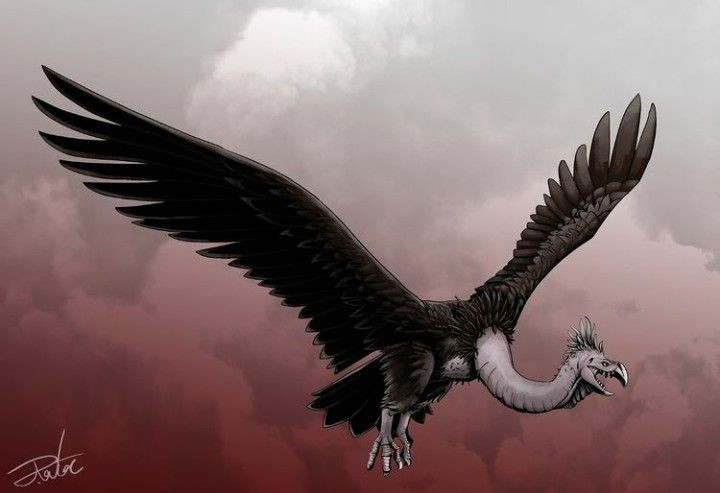 3. Bay lượn nhờ luồng khí nâng tự nhiên. Với cơ thể đồ sộ, Argentavis không thể đập cánh như chim nhỏ mà sử dụng các luồng gió bốc lên từ địa hình để bay lượn giống như chim kền kền hiện đại. Ảnh: Pinterest.