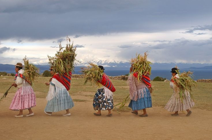 Nông nghiệp truyền thống gắn liền với thiên nhiên. Họ trồng khoai tây, quinoa và ngô trên các thửa ruộng bậc thang, sử dụng kỹ thuật canh tác cổ giúp chống sương giá và bảo tồn độ ẩm đất. Ảnh: Pinterest.