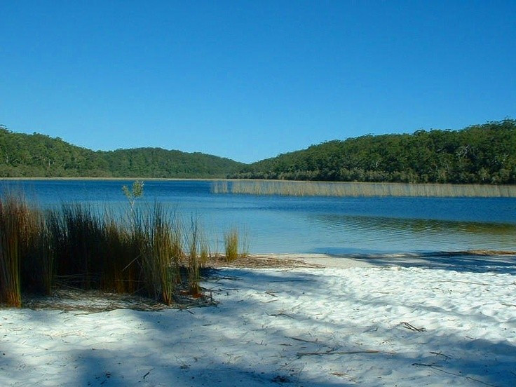 Hòn đảo có hàng chục hồ nước ngọt tuyệt đẹp. K’gari nổi tiếng với nhiều hồ nước ngọt trong vắt nằm giữa các cồn cát, trong đó có hồ McKenzie – một trong những hồ đẹp nhất Úc. Những hồ này được hình thành từ nước mưa tích tụ và được lọc tự nhiên qua lớp cát, khiến nước trong và sạch đến mức đáng kinh ngạc. Ảnh: Pinterest.